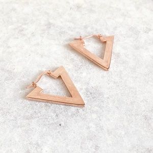 NEW Savvy Cie Linear V Drop Earrings